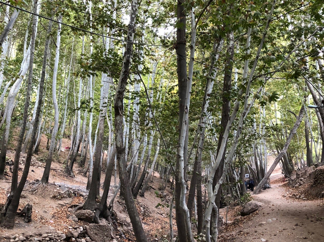 Qalat Village-Shiraz必去景点