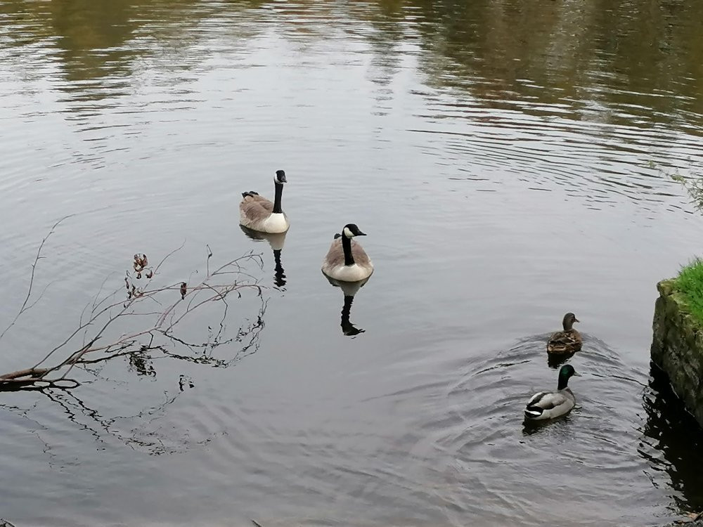 Orrell Water Park-Orrell必去景点