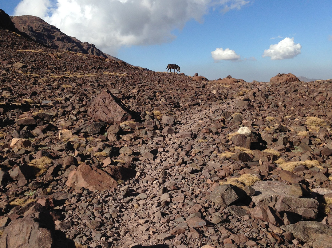 Guesthouse Dar Adous主图