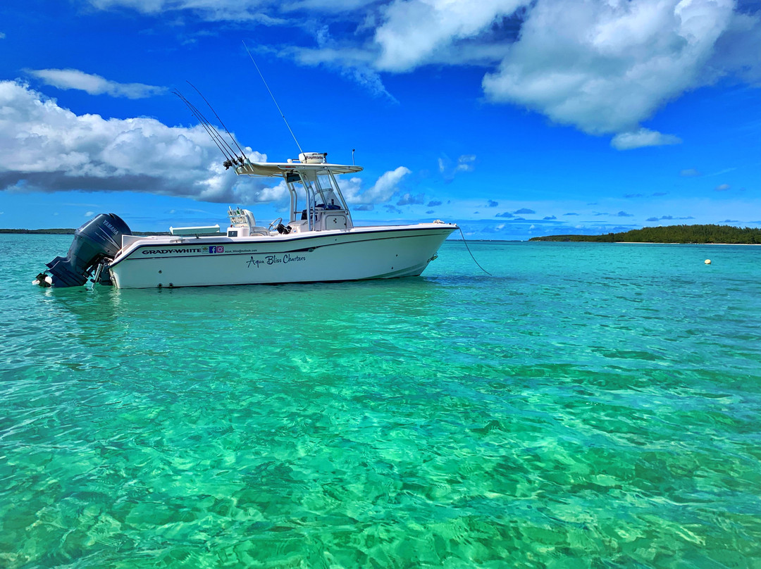 Aqua Bliss Charters-Spanish Wells必去景点