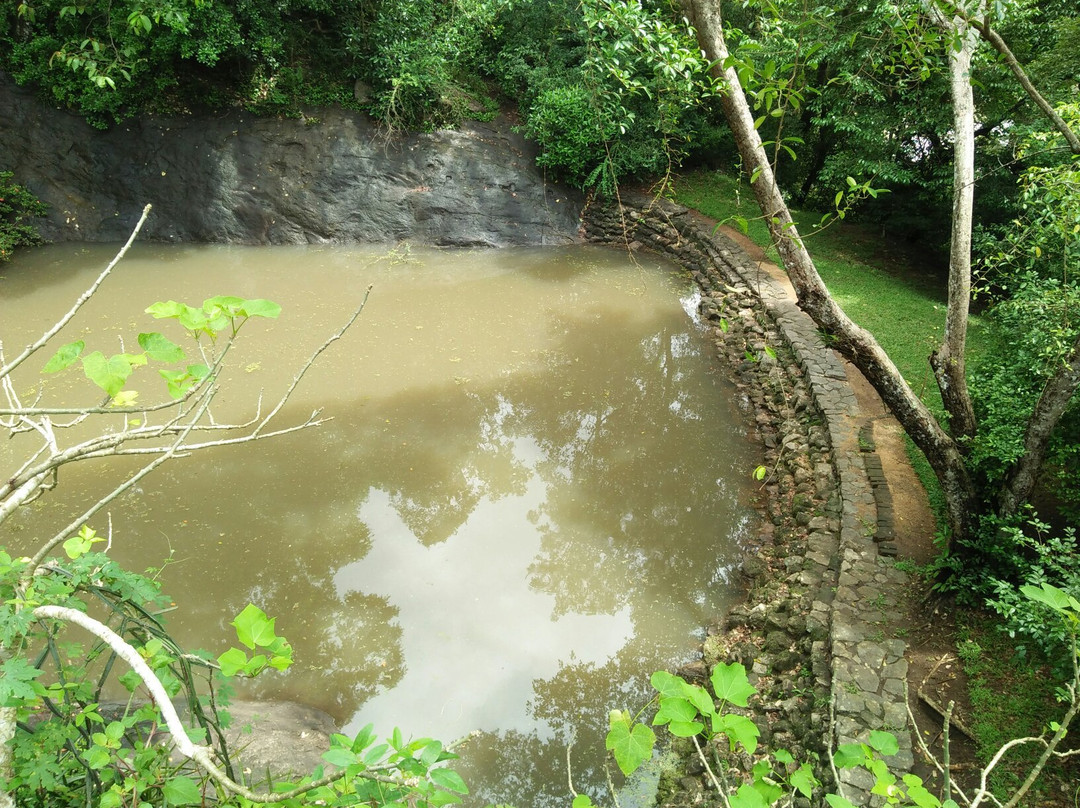 Dambadeniya Maliga Gala景点图片