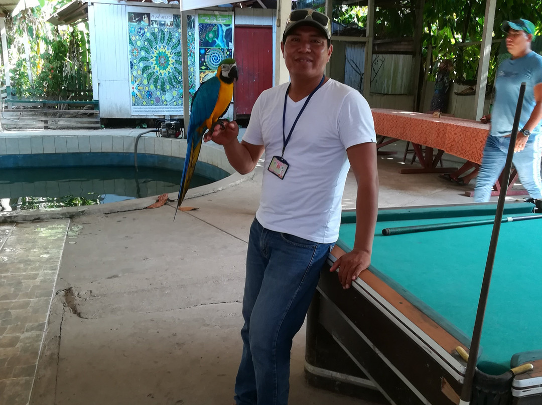 Laguna Cashibococha-Pucallpa必去景点