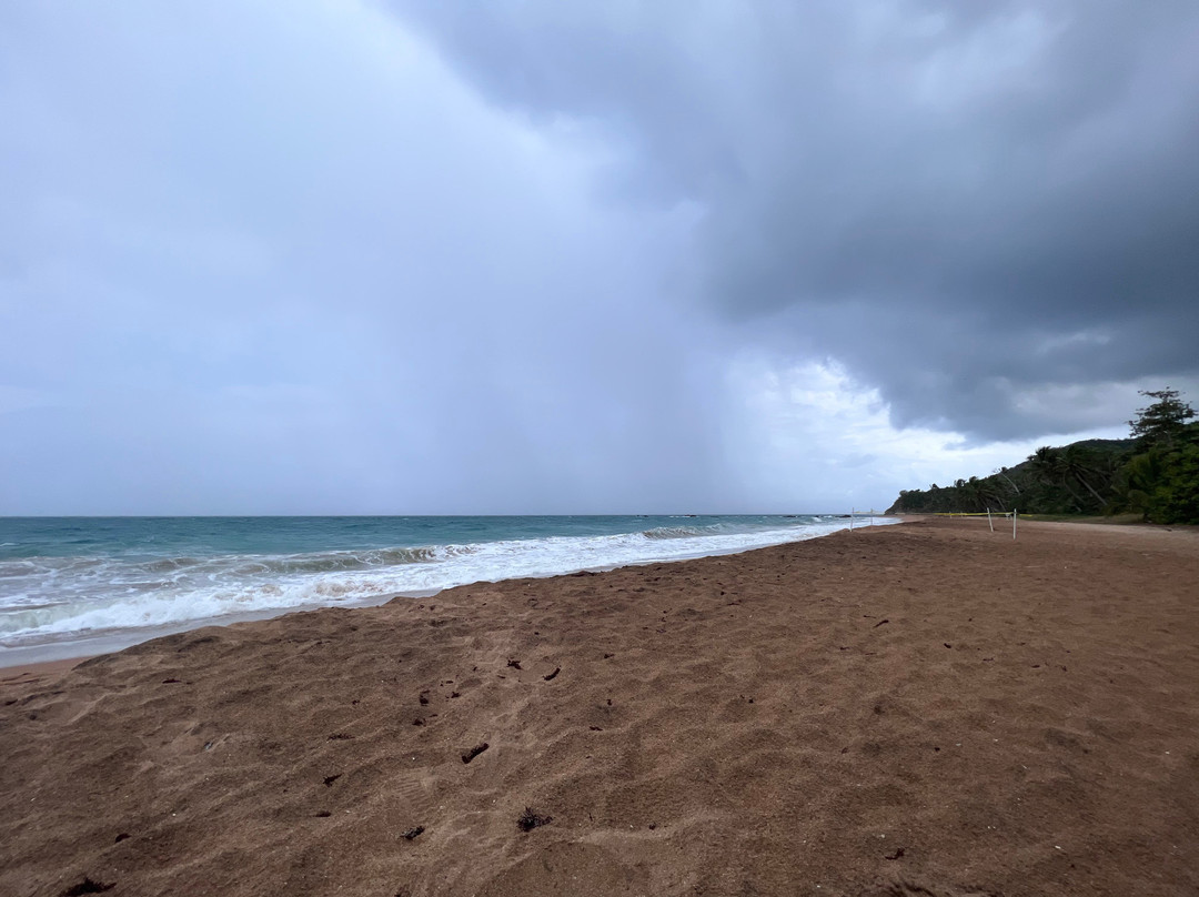 Playa El Cocal景点图片