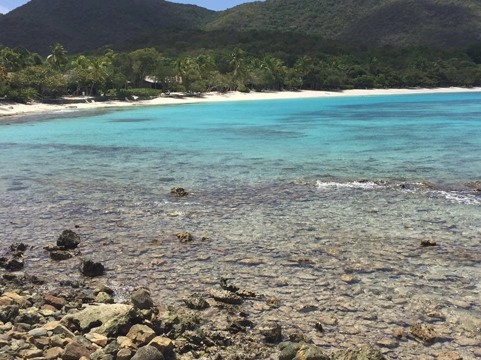 Scott Bay Beach