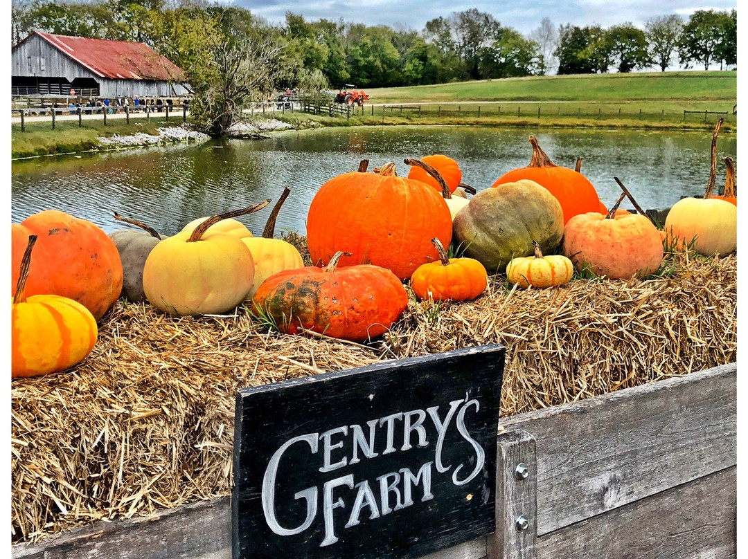 Gentry's Farm景点图片
