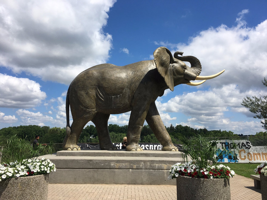 Jumbo The Elephant Monument景点图片