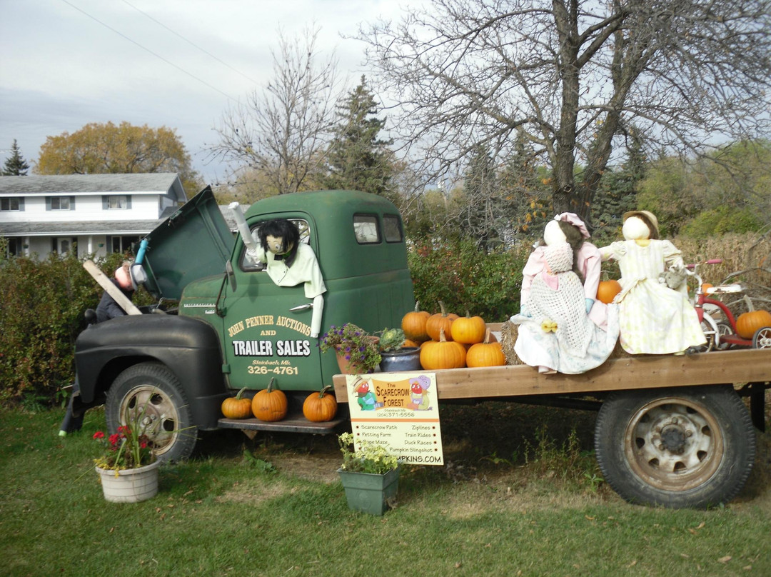 The Scarecrow Forest-Steinbach必去景点
