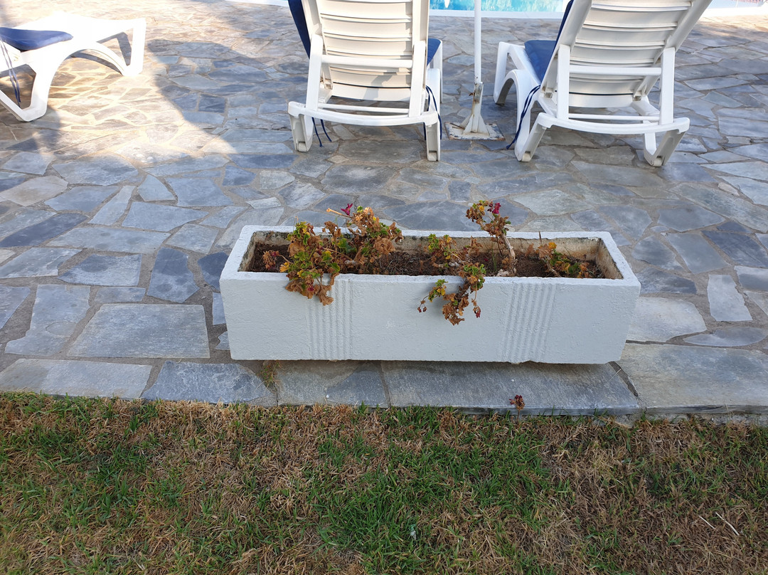 Albatros Hotel主图