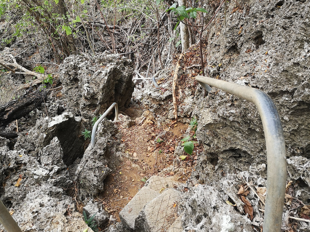 Territory Day Park-圣诞岛必去景点