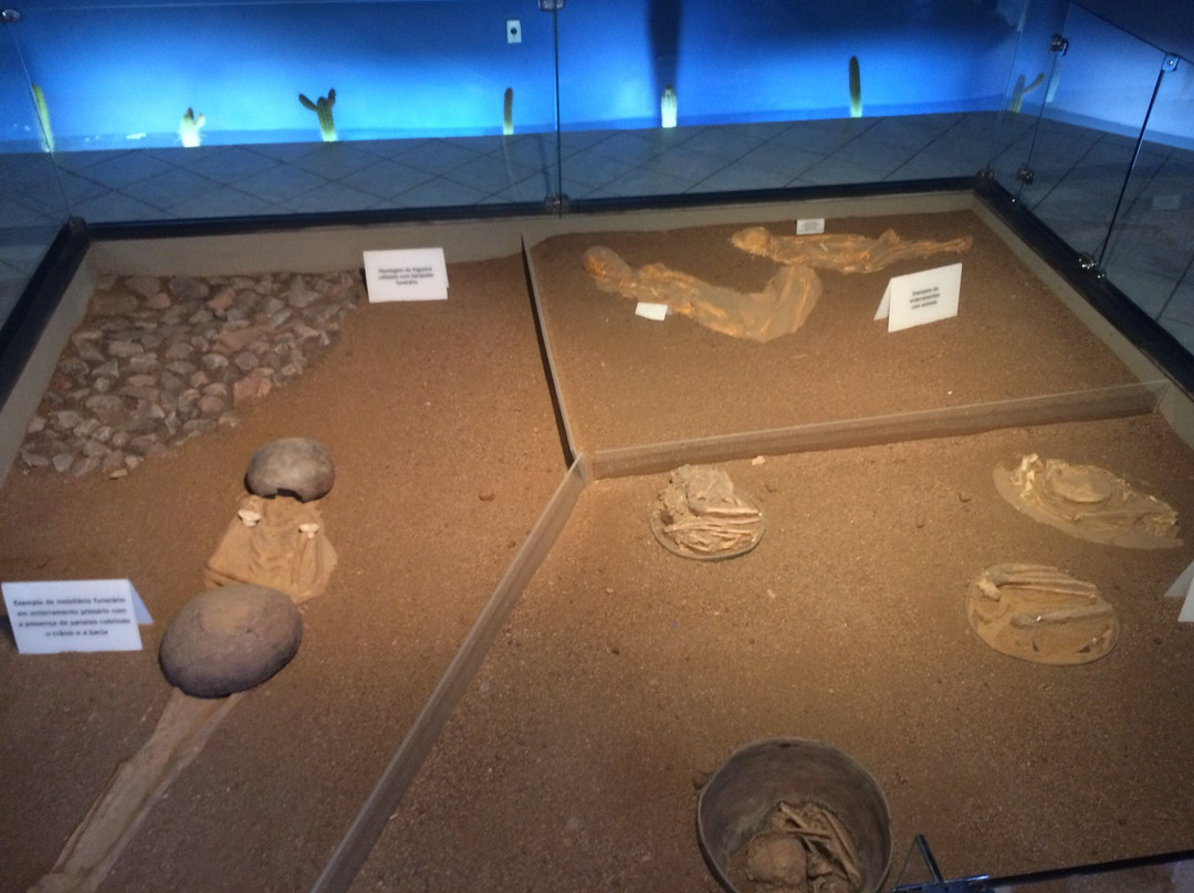 Museu de Arqueologia de Xingó-Caninde de Sao Francisco必去景点