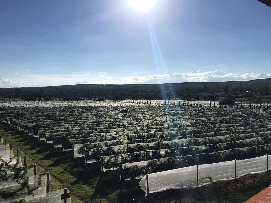 Tequisquiapan旅游景点-San Juanito