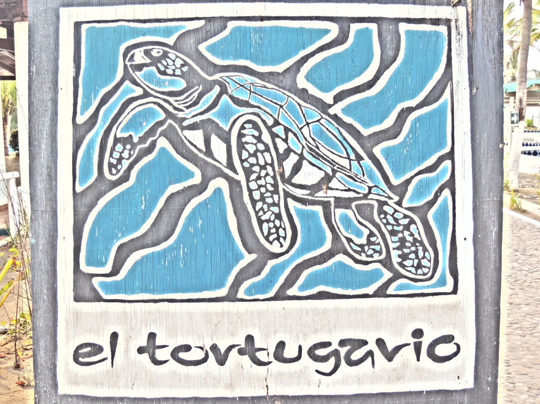 El Tortugario景点图片
