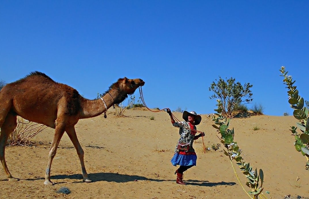 Blessing Hotel主图