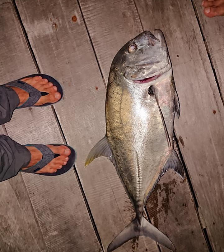 Dayan Homestay Batanta主图