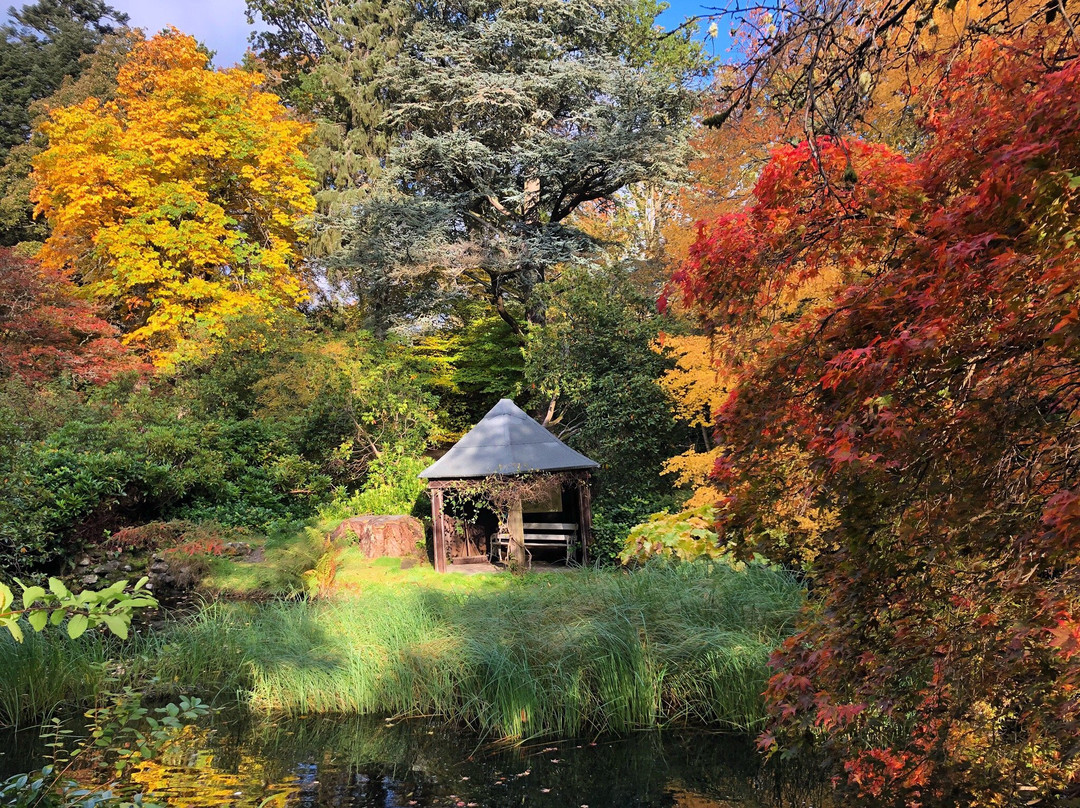 Japanese Water Garden景点图片