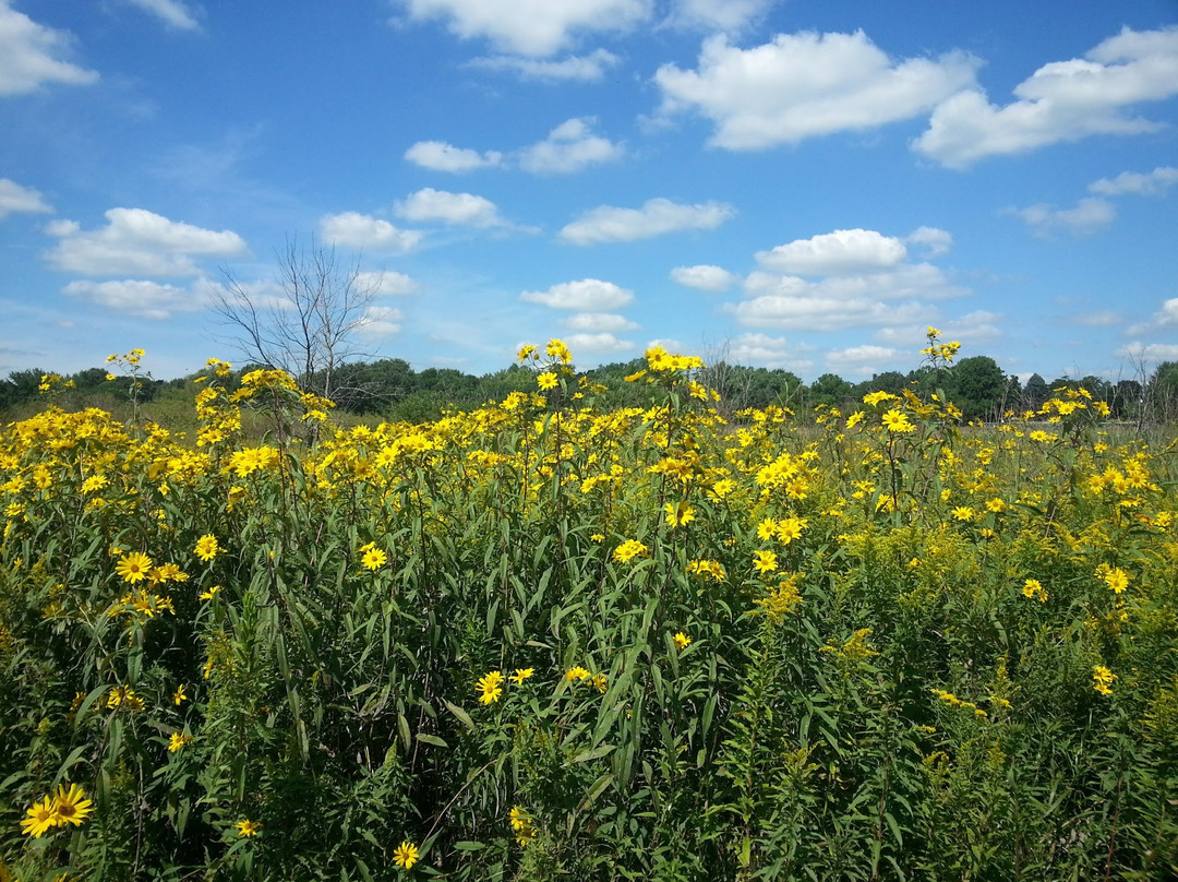 Johnsburg旅游景点-Glacial Park