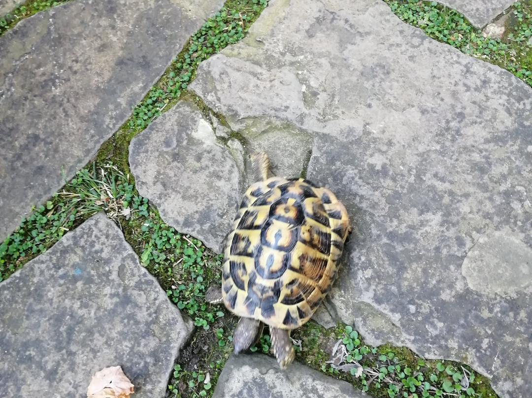 Caldescans Bed&Breakfast主图