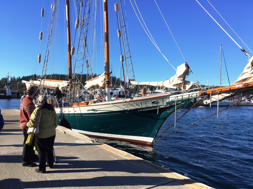 Schooners North景点图片