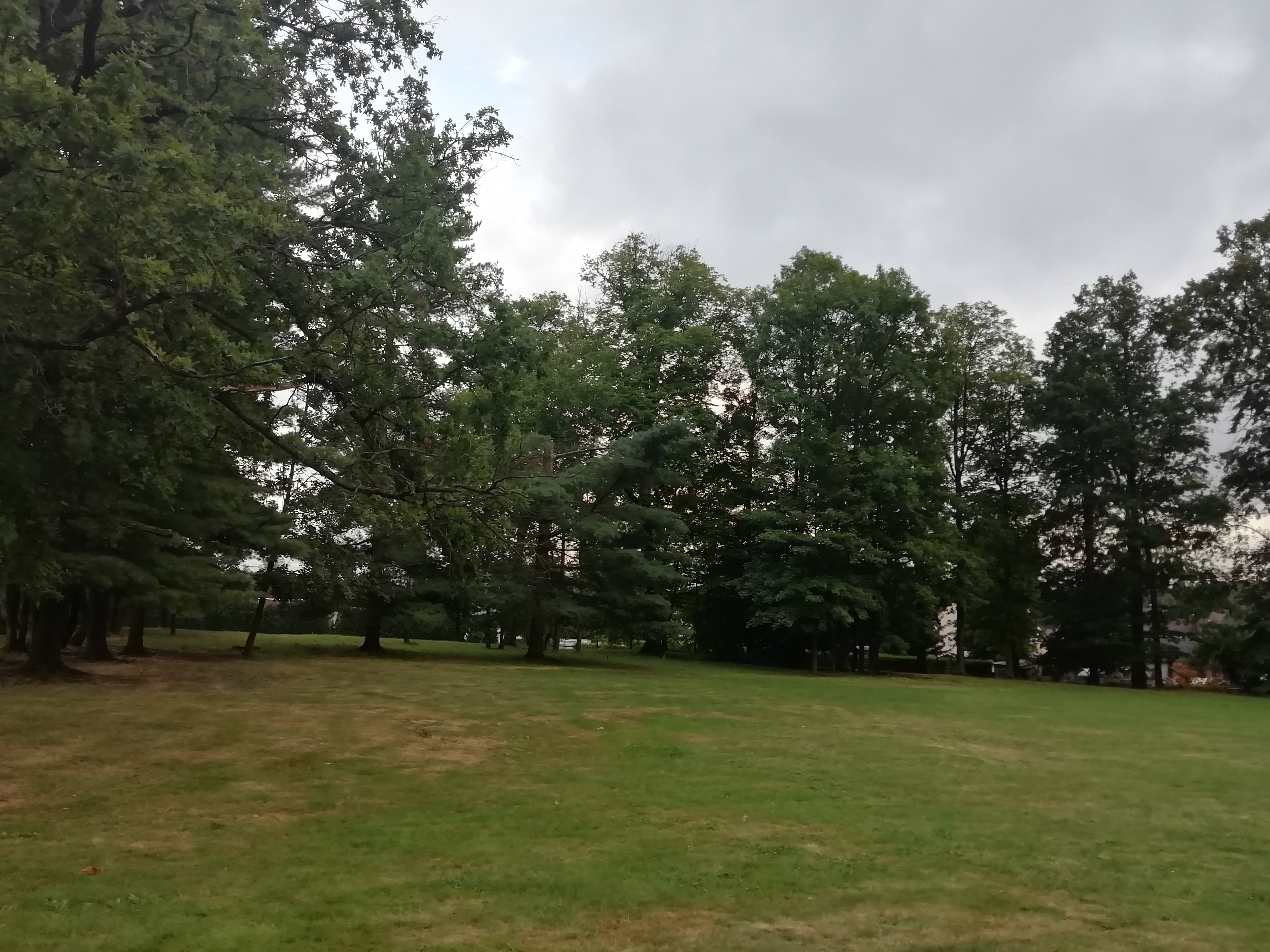 Schlosshotel Althornitz-酒店景观