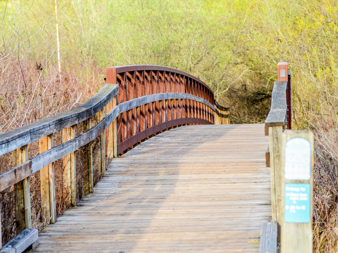 Mercer Slough Nature Park景点图片