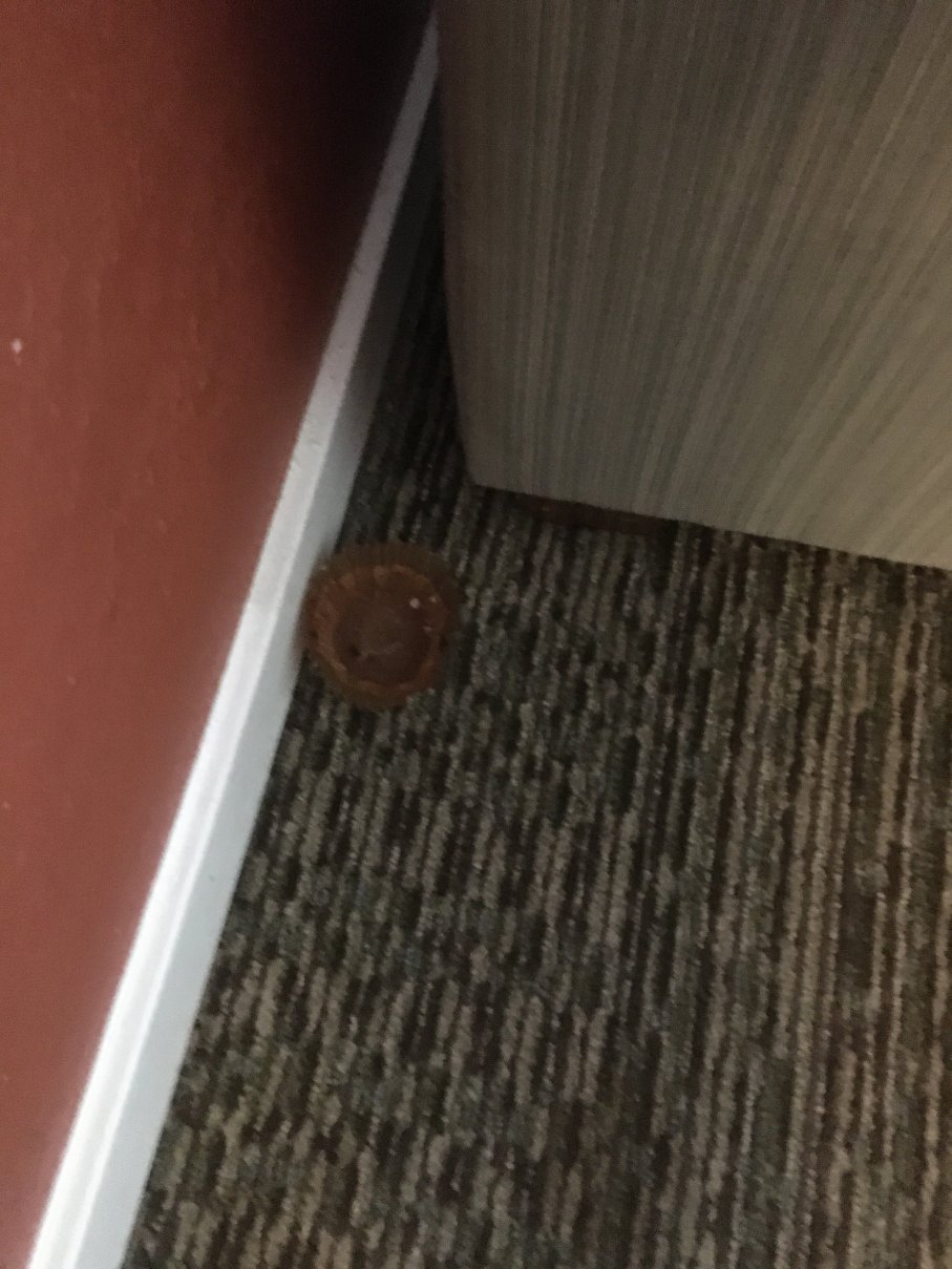 奥兰多布埃纳湖维斯塔索内斯塔 ES 套房公寓酒店-portrait