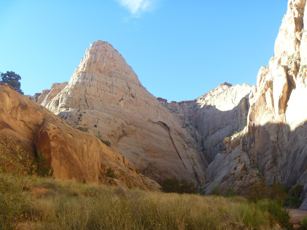 Grand Wash Trail景点图片