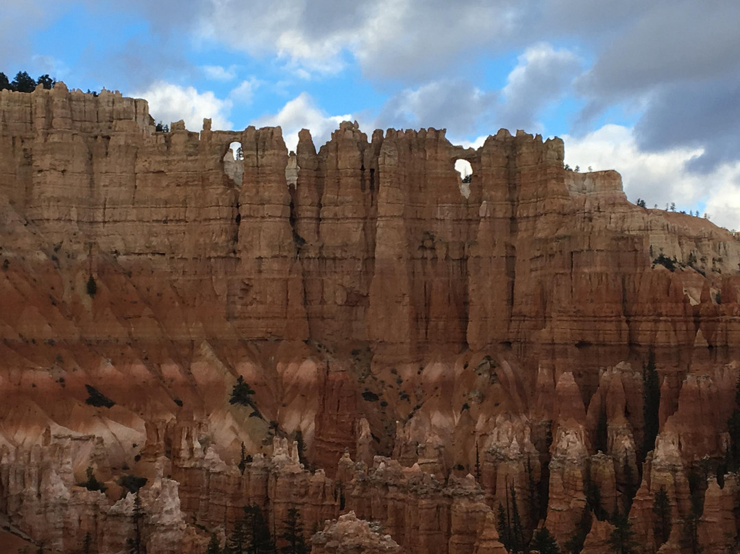 Bryce Canyon Scenic Tours景点图片