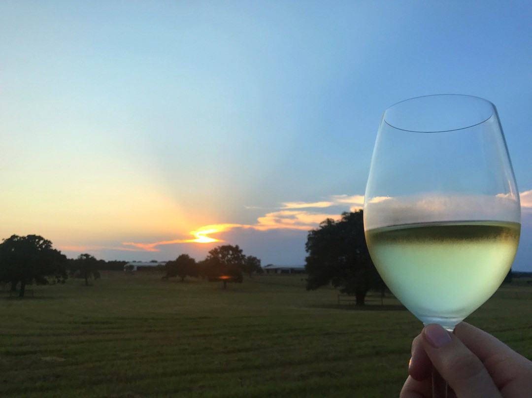 Alexander Vineyards-弗雷德里克斯堡必去景点