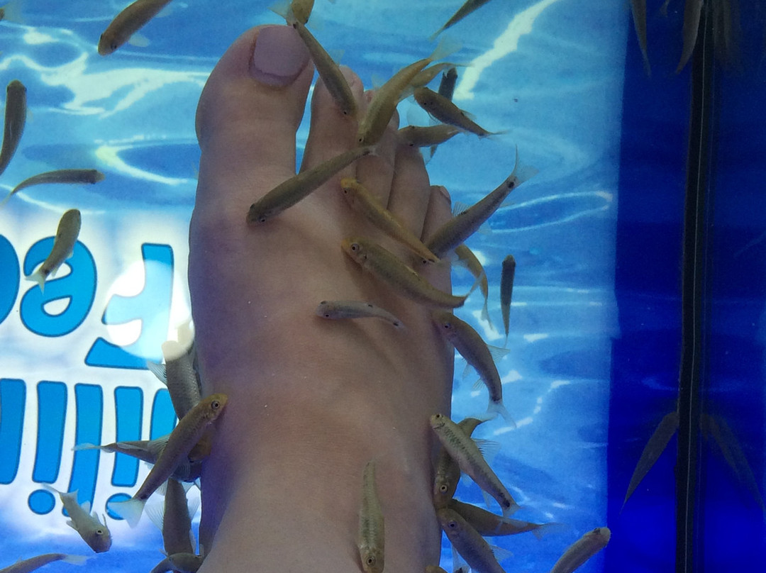 Smiling Feet Fish Spa-帕格拉必去景点