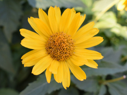 The Belvedere-路易斯维尔必去景点