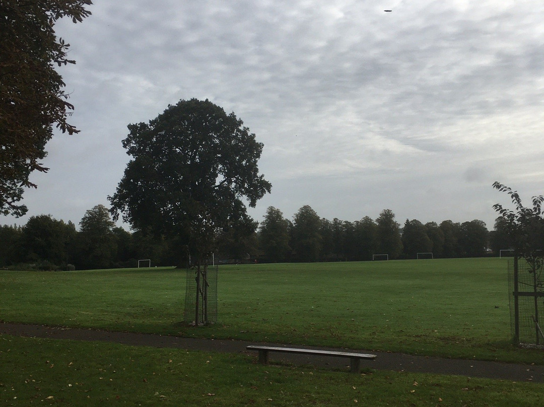 Dallington Park景点图片