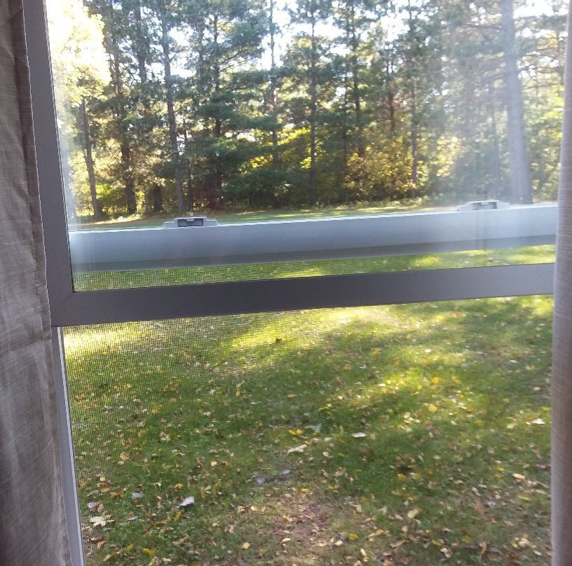 Pinewood Motel主图