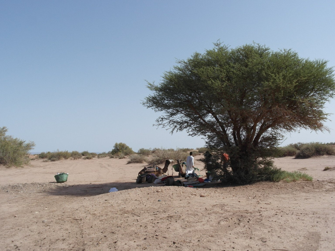 Camel Trek Morocco-迈哈米德必去景点