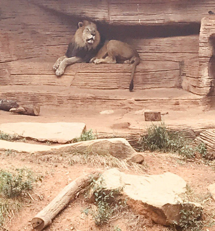 Riverbanks Zoo and Garden景点图片