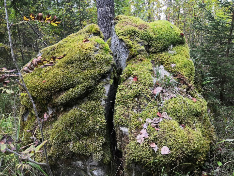Paijalan Linnavuori