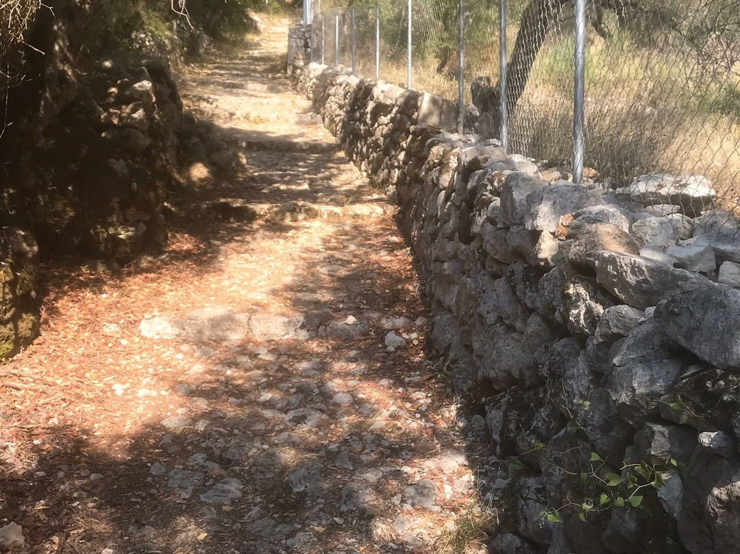 Homer's School-Ithaca必去景点