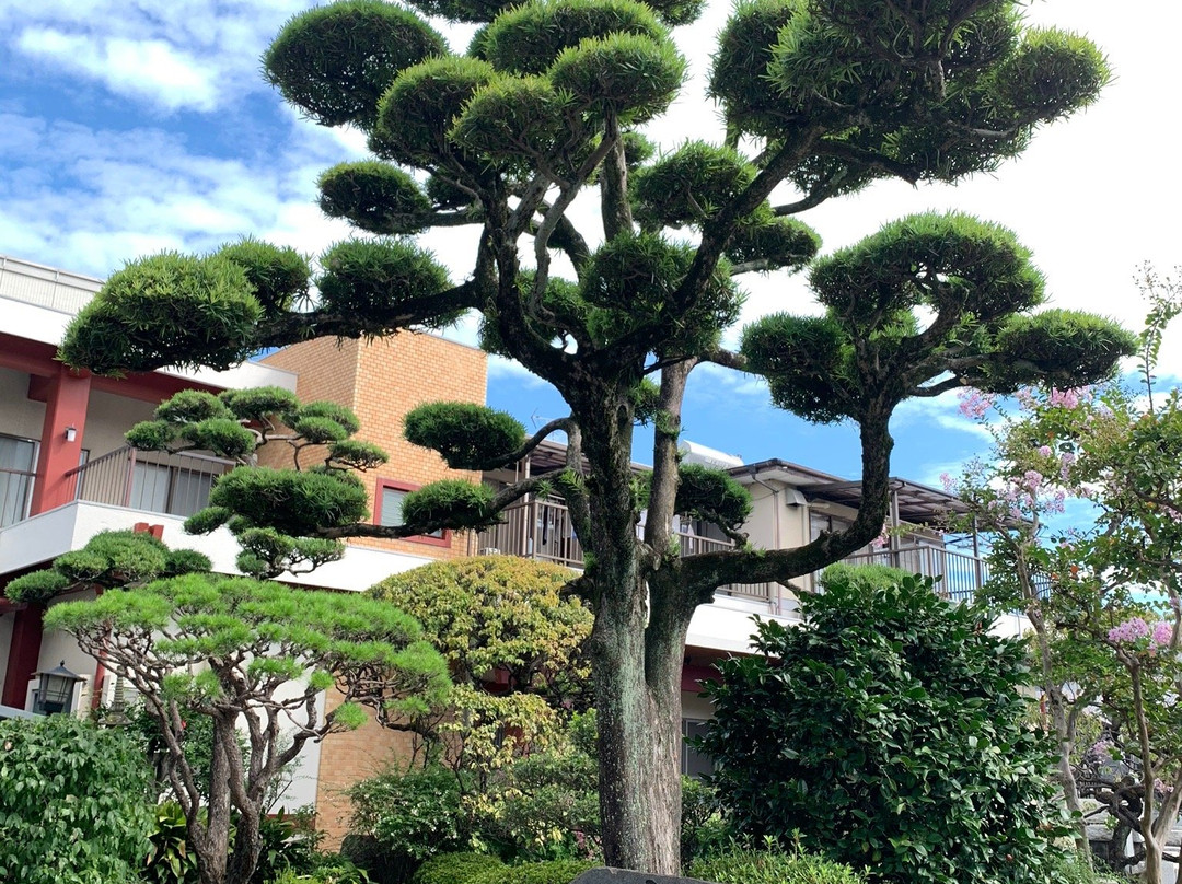 Saifuku-ji Temple景点图片