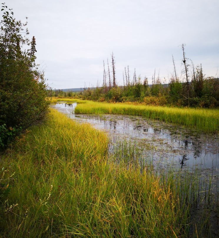 克卢恩国家公园-海恩斯章克申必去景点