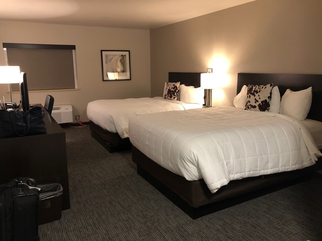 Super 8 by Wyndham St. Regis主图