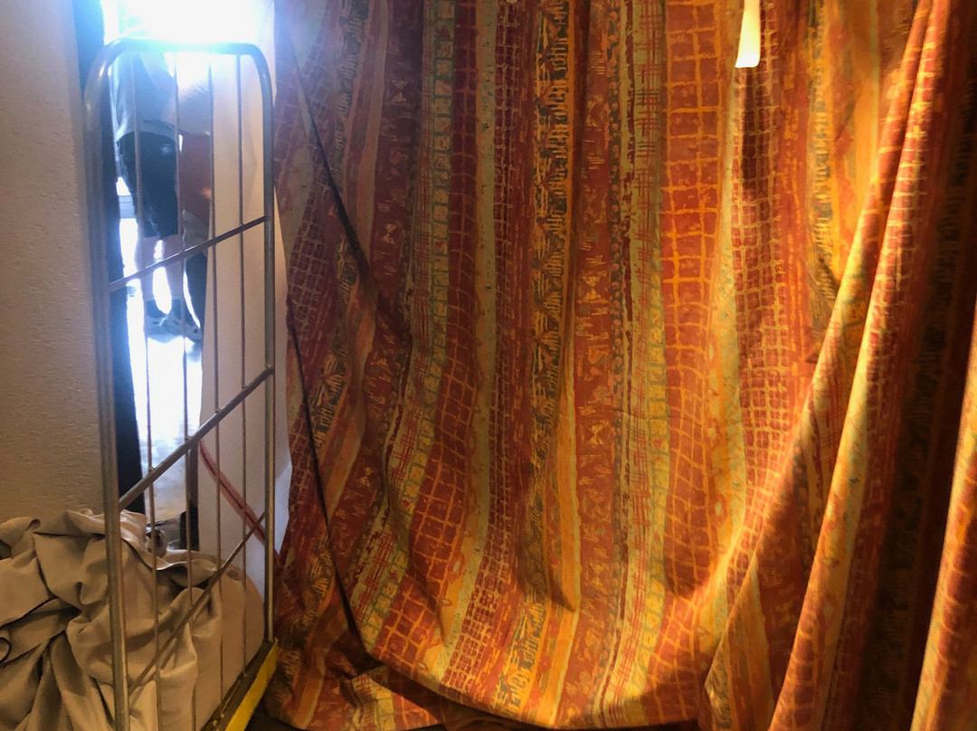 Seminaris Hotel Lüneburg主图