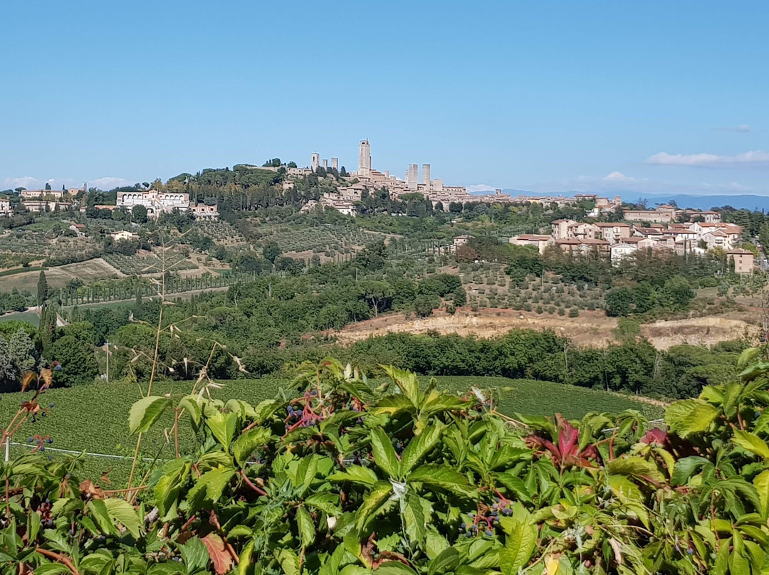 Podere Sant'Elena主图