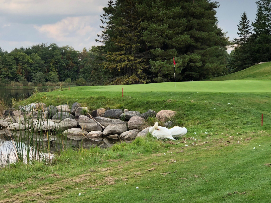 Woodington Lake Golf Club景点图片