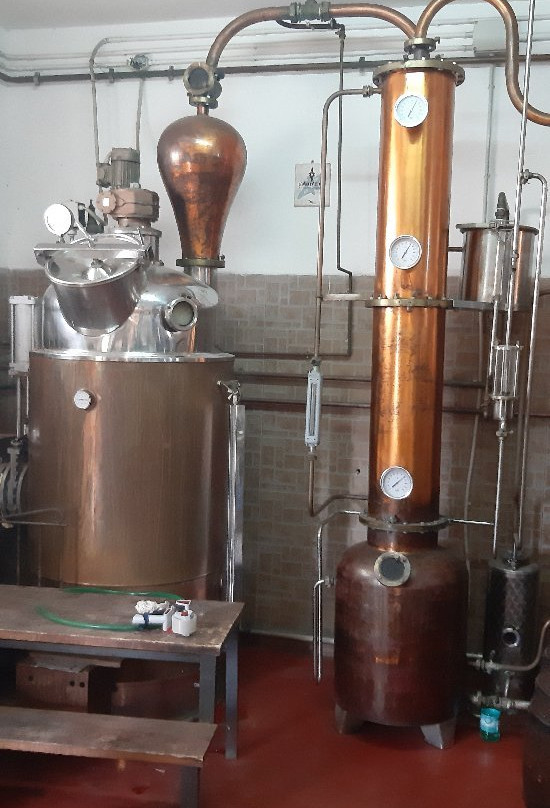 Distillerie Lussurgesi-Santu Lussurgiu必去景点