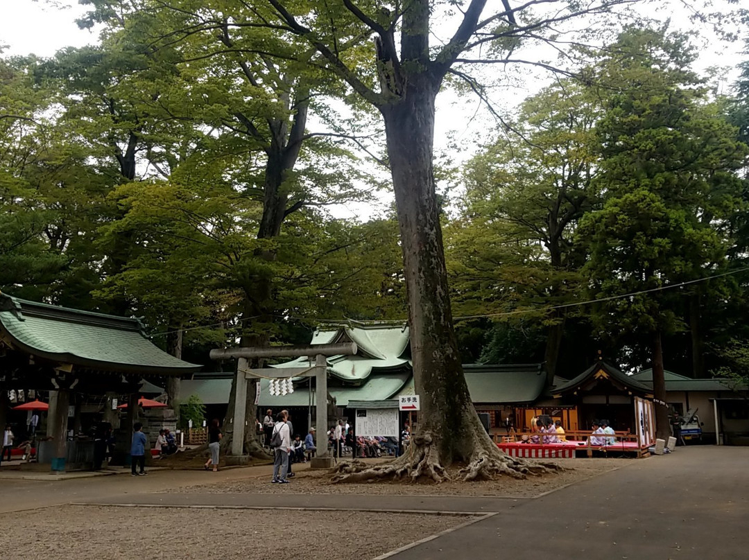 Hitokotonushi Shrine-常总市必去景点