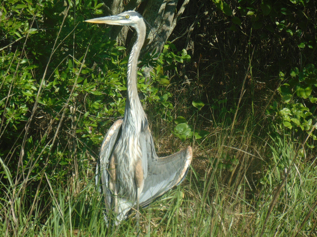 Assawoman Canal-Millville必去景点