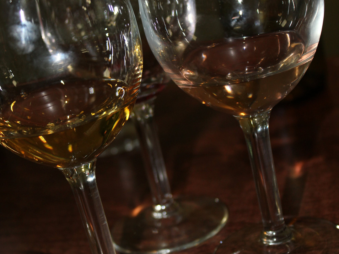 Squashed Grapes-文图拉县必去景点