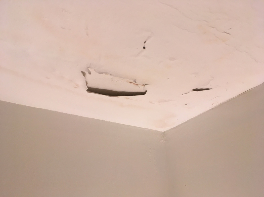 Ocean Park Inn主图