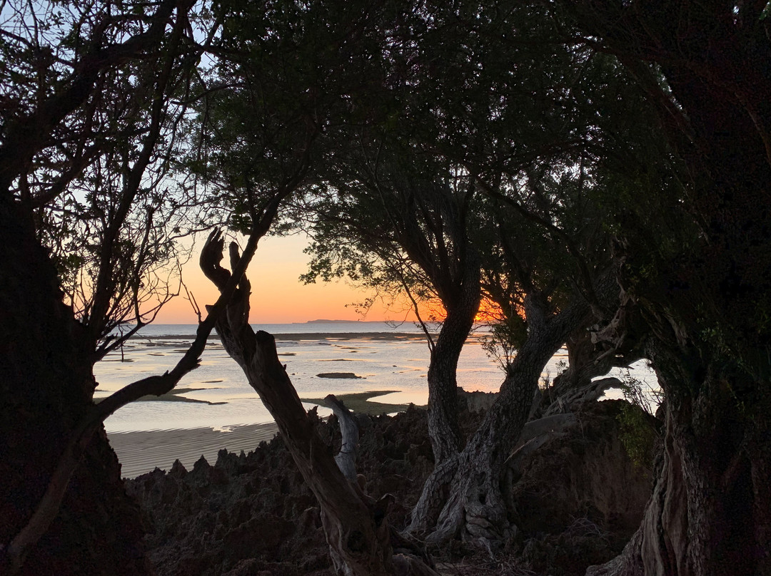 The Serai Inar主图