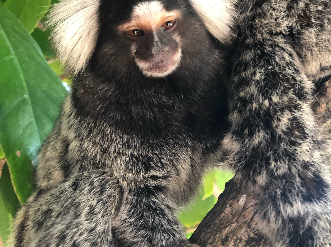 KSM Kite School Cumbuco-Cumbuco必去景点