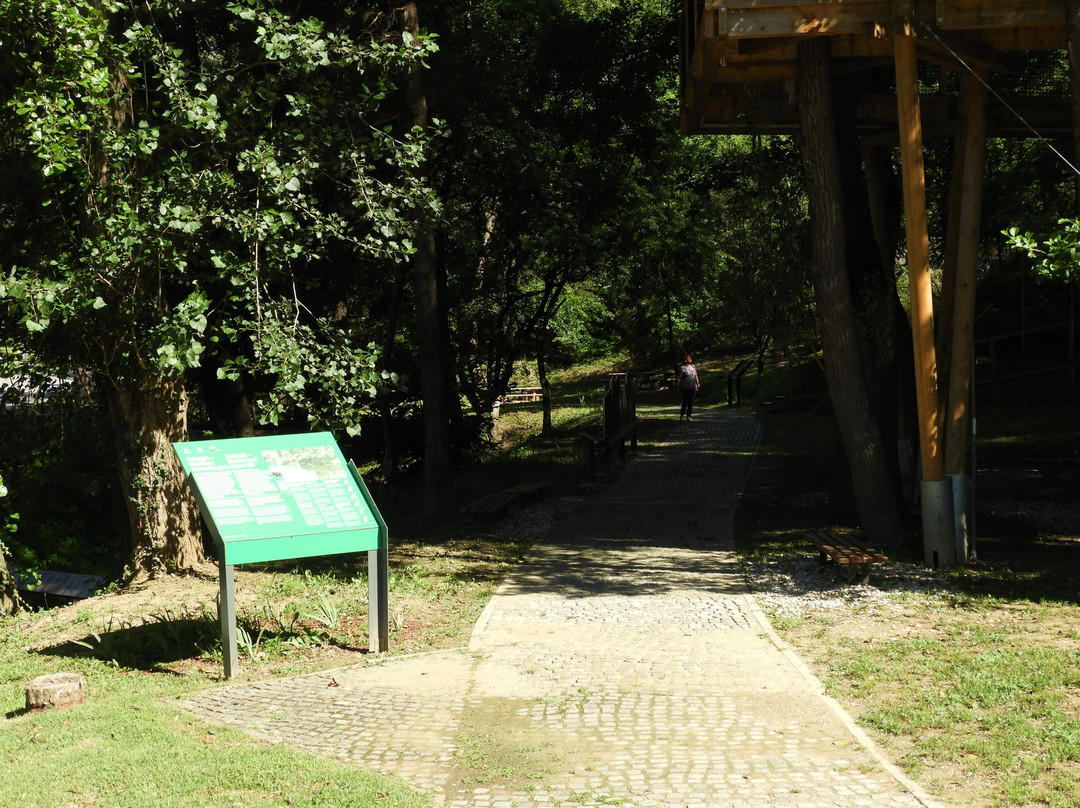 The Path Through The Treetop Zelenjak景点图片